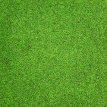 Grastapijt 133x400 Cm 3 Grastapijt 133x400 Cm - Afbeelding 3