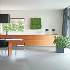 Muurhanger Verticaal Tuinieren 6 Muurhanger Verticaal Tuinieren -Relax Hof Verkoop 123 516