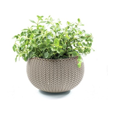 Relax Hof Verkoop -Relax Hof Verkoop 1