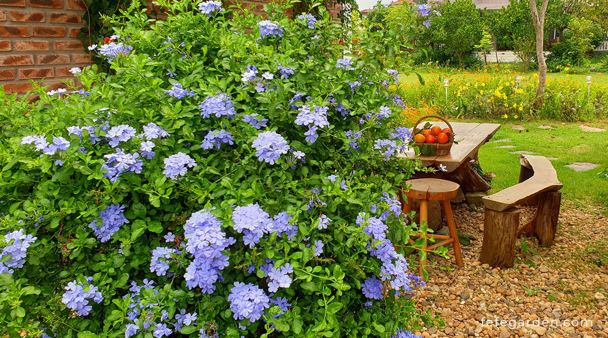 Relax Hof Verkoop -Relax Hof Verkoop